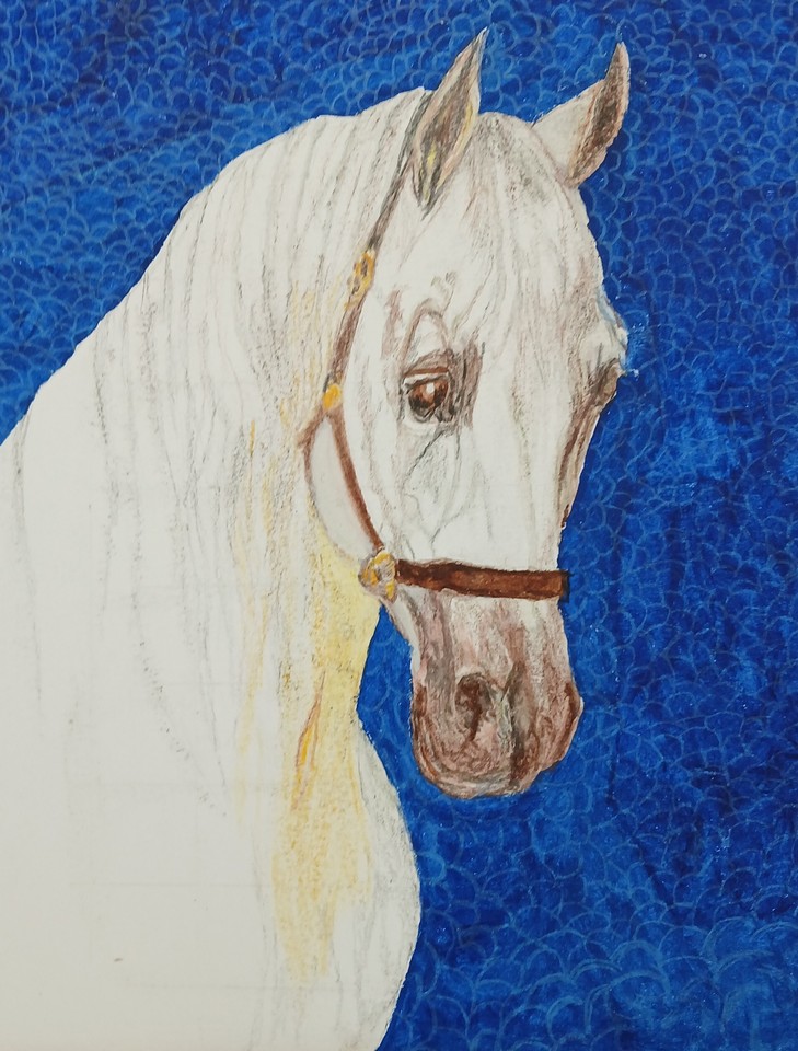 White horse by Joan Bibby