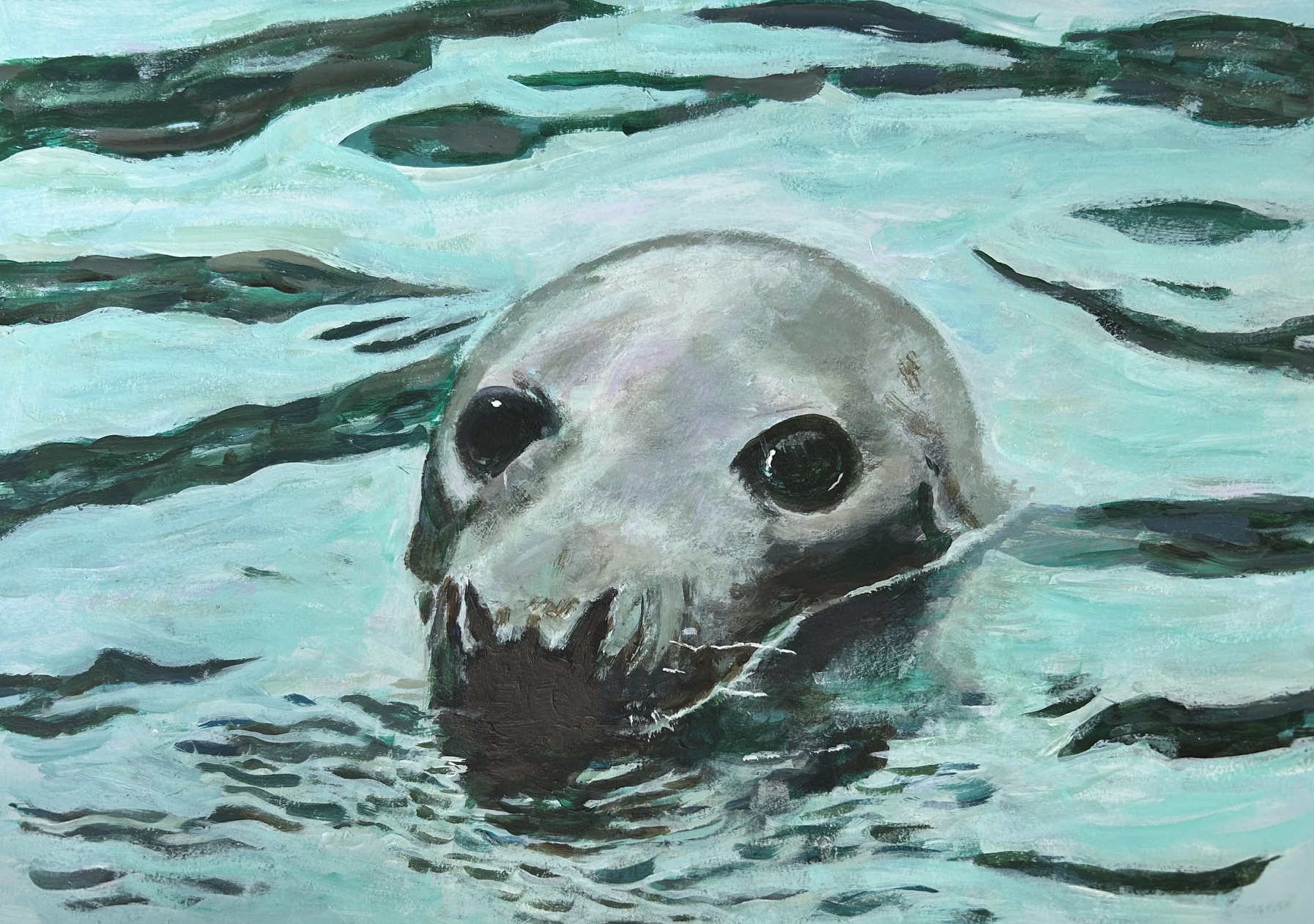Dave Morgan - Brixham Seal