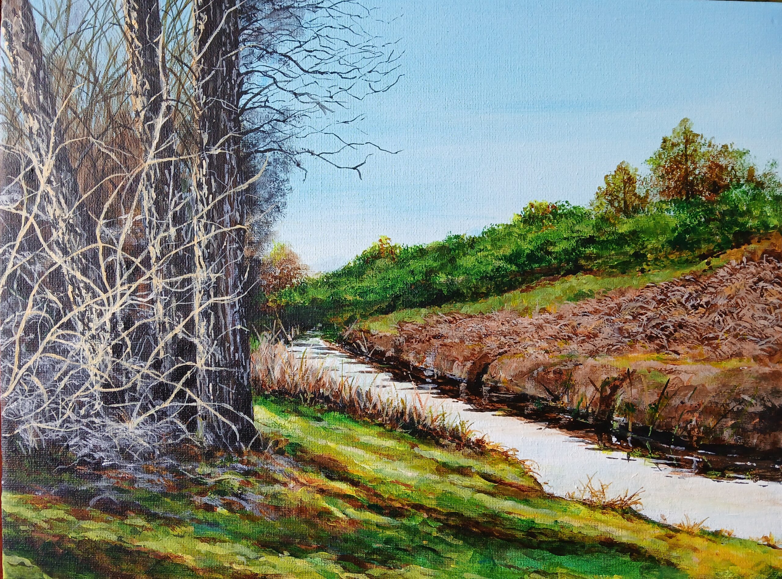 Mike Birkby Fine Jane's Brook