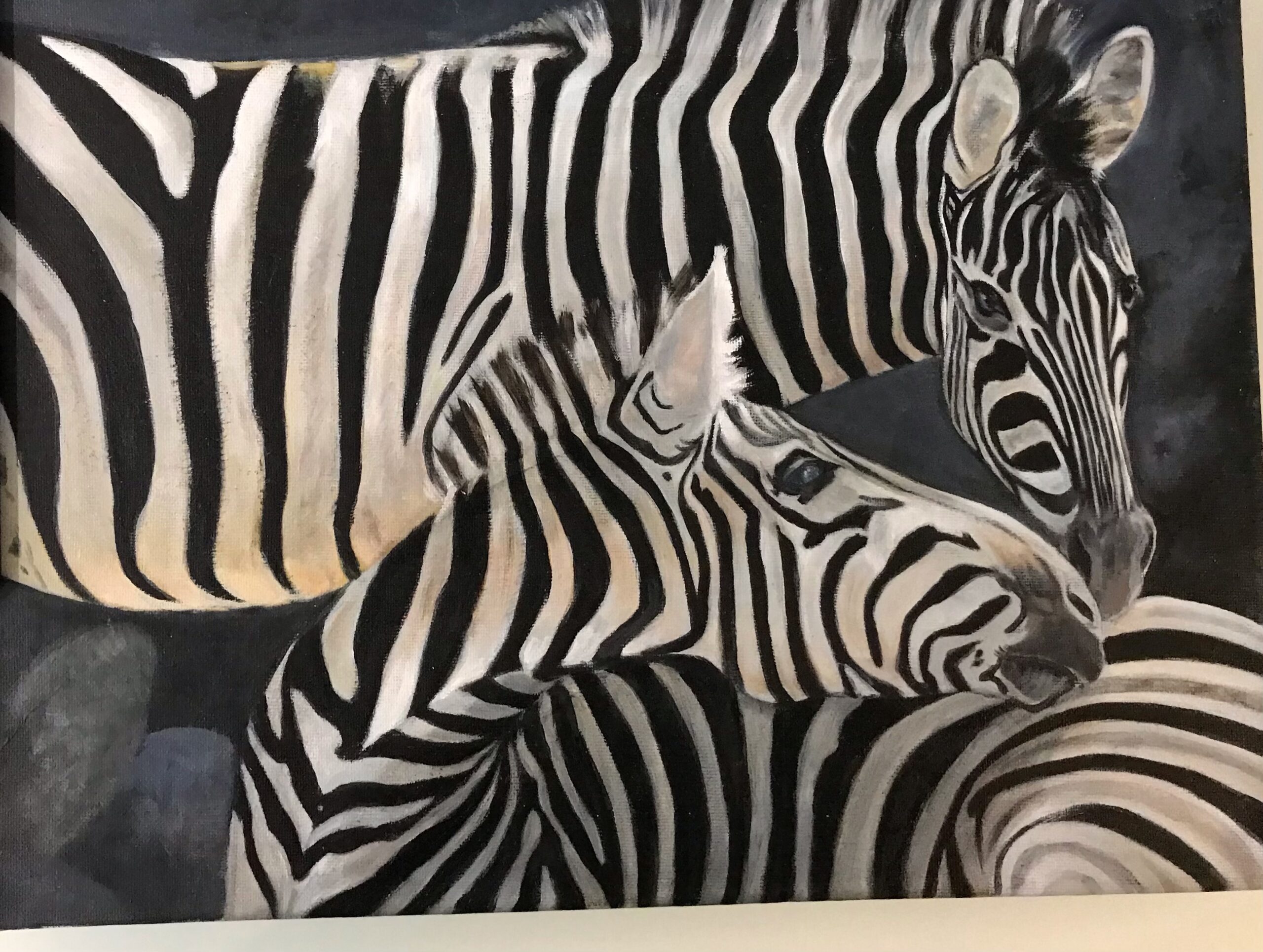 Norma Schofield Zebras